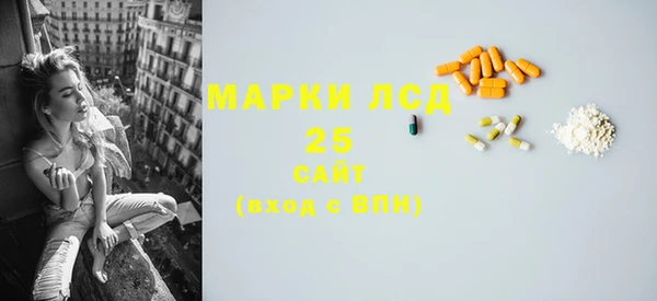 2c-b Краснослободск