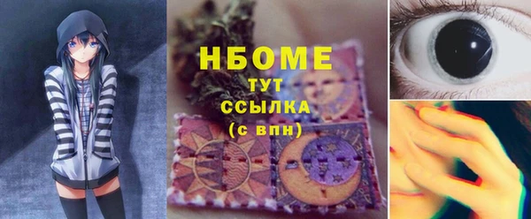 2c-b Краснослободск